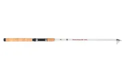Red Eye Rute Power Spine 60 30-60gr - 3m00