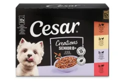 Cesar Creations Nassfutter Hund Senior Senior in Gelee 4x12x100g