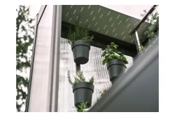 Biohort Pflanzentopf-Set für Gewächshaus Florentina