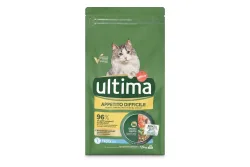Ultima Cat Anspruch Forelle