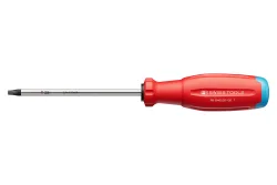 PB Swiss Tools Torx-Schraubenzieher PB 38400 SwissGrip Evo Gr. 25 120 mm