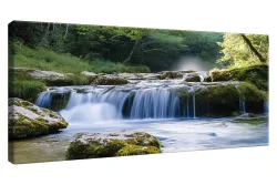 Wandbild 50x100 Rainforest