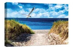 Wandbild 30x45 Seagull
