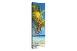 Wandbild 30x97 Palm Beach