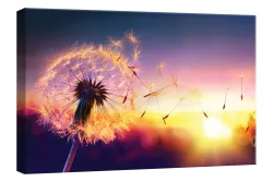 Wandbild 65x97 Dandelion