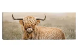 Wandbild 57x150 Highlander Nature