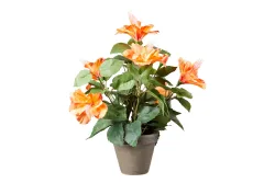 Mica Künstlicher Hibiskus Orange im Grauen Topf | 30 × 40 cm