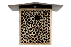 BeeHome One