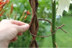 Videx Natursisal Kletterdraht | 5 m