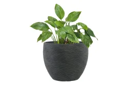 Pflanzgefäss Orcus Ø37xH30cm Black