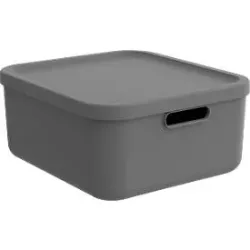 Rotho Box 12 l Albula Light