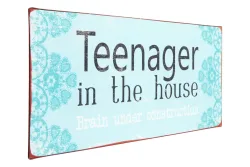 Metall Schild 30x13 cm Teenager in the House