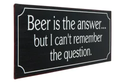Metall Schild 30x13 cm Beer is the answer