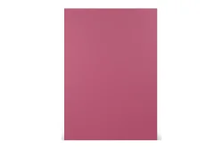Paperado Karton DIN A4, FSC Mix Credit, 210x297mm, 220g/m2, Beutel 5Stück