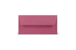 Paperado Umschläge DL, FSC Mix Credit, 110x220mm, 100g/m2, m. SF, Beutel 5Stück
