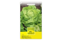 Select Kopfsalat Mercurion
