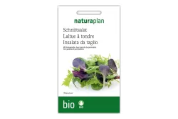 Bio Schnittsalat Mesclun
