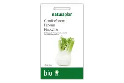 Bio Gemüsefenchel Zefa fino