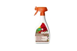 Maag Belrose Blattlaus Spray | 500 ml