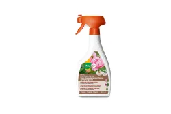 Maag Belrose Pilz-Stopp Spray | 500 ml