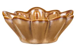 Muschelschale