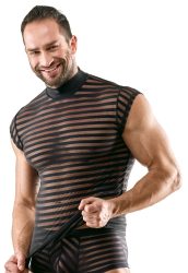 Shirt im transparenten Streifen-Look
