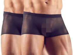 2er-Pack Pants, transparent