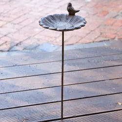 Vogeltränke Finch