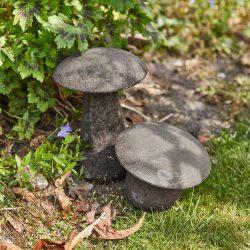 Deko-Pilz 2er Set Coudrelle