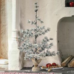 Weihnachtsbaum Falkirk