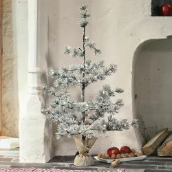 Weihnachtsbaum Falkirk