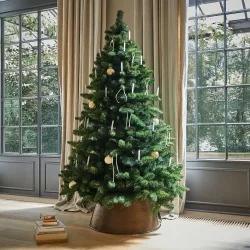 Weihnachtsbaum Bryndis