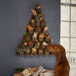 Adventskalender Veldaen