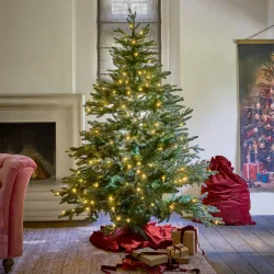 Weihnachtsbaum Franck