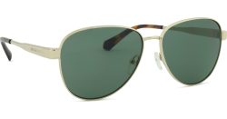 Michael Kors Biarritz MK1160 10143H 59