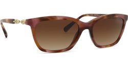 Emporio Armani EA 4238 619674 54