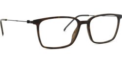 Hugo Boss 1704 581 17 55