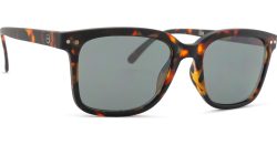Izipizi Sun #L Tortoise