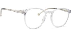 Lentiamo Sandro Transparent