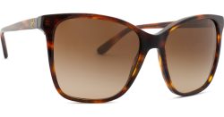 Ralph Lauren 0RL 8201 500713 56