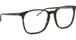 Ray-Ban 0RX5387 2012 54