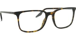 Ray-Ban 0RX5421 2012 55