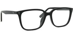 Ray-Ban 0RX7248D 2000 55
