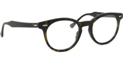 Ray-Ban Eagleeye 0RX5598 2012 49