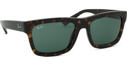 Ray-Ban Warren RB4396 135971 57