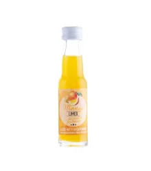 Prinz Mango-Limes Miniatur / 16 % Vol. / 0,02 Liter-Flasche