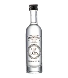 Bertagnolli Gin 1870 Premium Dry Gin Mini / 40 % vol / 0,05 Liter-Flasche