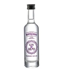 Bertagnolli Gin 1870 Blueberry Dry Gin Mini / 40 % vol / 0,05 Liter-Flasche