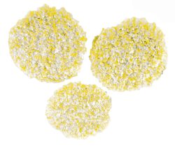 Kärcher Home & Garden 2.863-198.0 Polierpads Stein / Linoleum / PVC 3 St.