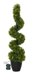 Star Trading Buxbom Baum 25 cm
